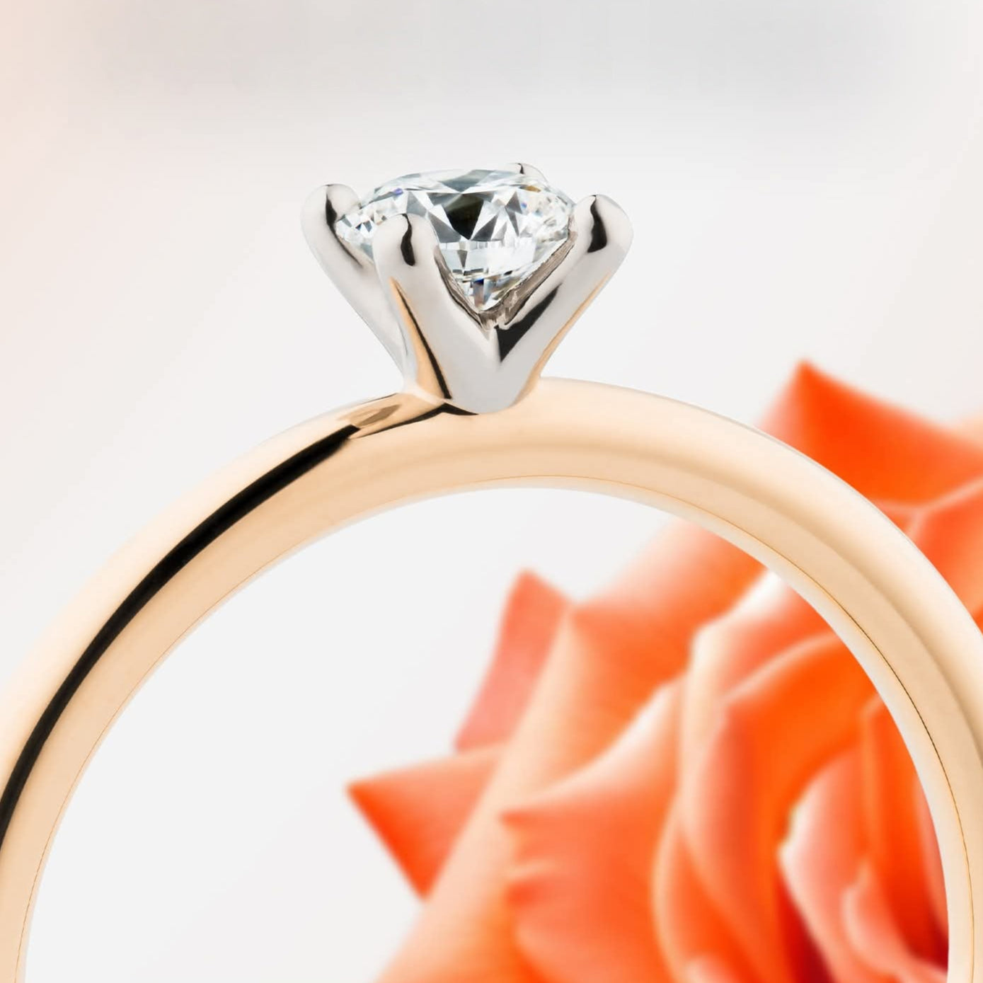 Verlobungsring - Solitaire 4er Krappe Bicolor mit Diamant (0,020 ct.)